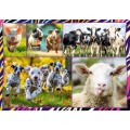 Puzzle Trefl zwierzaki 4x250 el. (13313)