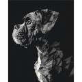 Zestaw kreatywny Brushme Malowanie Po Numerach 40x50 cm Pies (BR-BS53935)