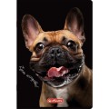 Zeszyt Herlitz Crazy Animal A5 60k. 70g krata (400196837)