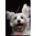 Zeszyt Herlitz Crazy Animal A5 60k. 70g krata (400196837)