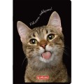 Zeszyt Herlitz Crazy Animal A5 60k. 70g linia (400196838)