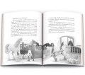 Książka dla dzieci Ameet HORSE CLUB. Niesamowity jeździec (CBH 8401)
