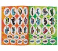 Książka dla dzieci Ameet Hot Wheels™. Naklejam i Koloruję (NAK 1601)