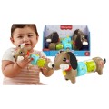 Zabawka edukacyjna Fisher Price jamnik aktywizujący (HTW91)