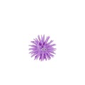 Piłeczka Mega Creative wirus 4cm (553197)