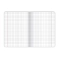 Zeszyt Top 2000 DINO/SPRING A5 32k. 70g krata (400169404)