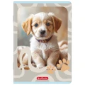 Zeszyt ANIMALS A5 16k. 70g linia podwójna kolorowa Herlitz (400206377)