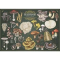 Puzzle Finders Keepers: Grzyby 25 el. Trefl (37608)
