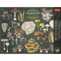 Puzzle Finders Keepers: Grzyby 25 el. Trefl (37608)