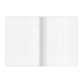 Zeszyt TOP-2000 Linea A5 16k. 70g krata [mm:] 150x210 (400159966)