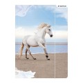 Teczka kartonowa na gumkę Starpak horses A4 kolor: mix (298952)