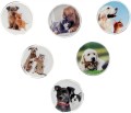 Magnes Fun&amp;Joy PIES I KOT okrągły - mix śr. 30mm 6 sztuk