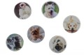 Magnes Fun&amp;Joy PIES okrągły - mix śr. 30mm 6 sztuk