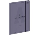 Teczka kartonowa na gumkę Interdruk ACADEMY A4+ kolor: mix (TEGUFACADE)
