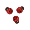 Ozdoba drewniana Titanum Craft-Fun Series drewniane biedronki (12x15mm)