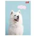 Zeszyt Unipap Mix A5 32k. linia [mm:] 148x210