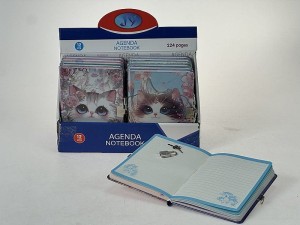 Pamiętnik Adar z kłódką, kotki B6 (617414)