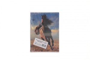 Zeszyt Interdruk WILD HORSES A5 32k. 70g krata