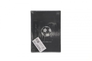 Zeszyt Interdruk SPORT A5 60k. 90g krata