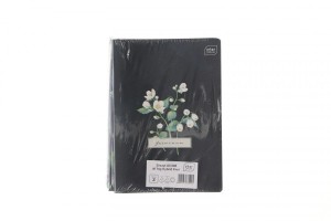 Zeszyt Interdruk HYBRID fLORI A5 60k. 70g krata