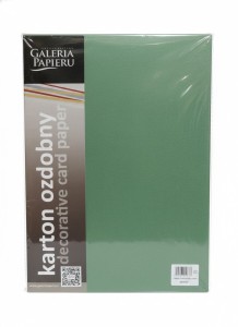 Papier ozdobny (wizytówkowy) Earth A4 Zielony 220g Galeria Papieru (204707)