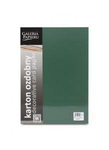 Papier ozdobny (wizytówkowy) Earth A4 Zielony 210g Galeria Papieru (205457)