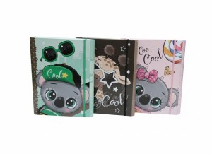 Teczka kartonowa na gumkę 4cm z gumką-BE COOL B4 mix VauPe (310/95)