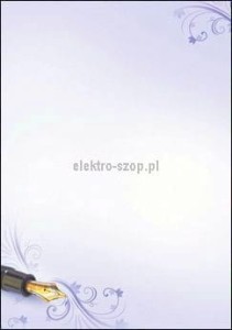 Dyplom Galeria Papieru Styl A4 100g (233110)