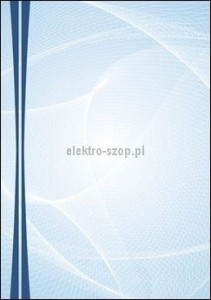 Dyplom Galeria Papieru Graphic A4 170g (217217)
