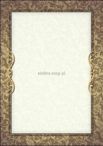 Dyplom Galeria Papieru Arras A4 170g (216217)