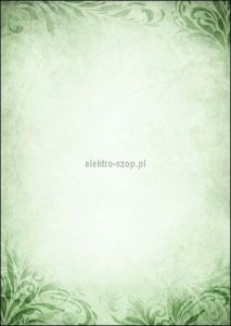 Dyplom Galeria Papieru Emerald A4 170g (215617)