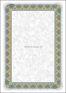 Dyplom Galeria Papieru Srebro A4 250g (210125)