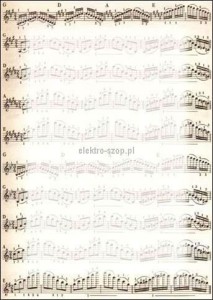 Dyplom Galeria Papieru Nuty A4 170g (213317)