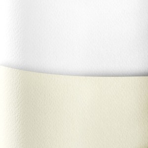 Papier ozdobny (wizytówkowy) Galeria Papieru savanna biały 20 arkuszy A4 - biały 200g (204801)