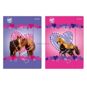 Teczka kartonowa na gumkę Starpak horses A4 kolor: mix (298952)