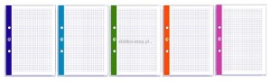 Wkład do segregatora Interdruk A5 50k (WKDOSEA5F)