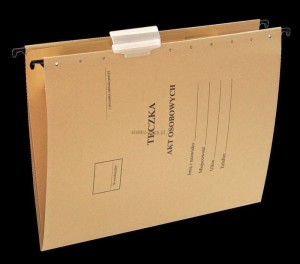 Teczka zawieszkowa Esselte A4 - siarczanowy 230g (15212)