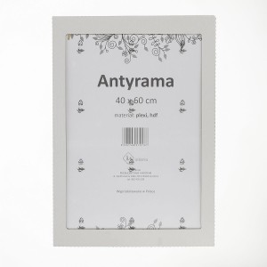 Antyrama M-interio plexi [mm:] 400x600 (AR40x60)