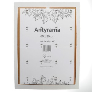 Antyrama M-interio plexi [mm:] 600x800