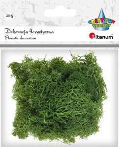 Dekoracja Craft-Fun Series dekoracja florystyczna mech chrobotek Titanum (2324045 DG)