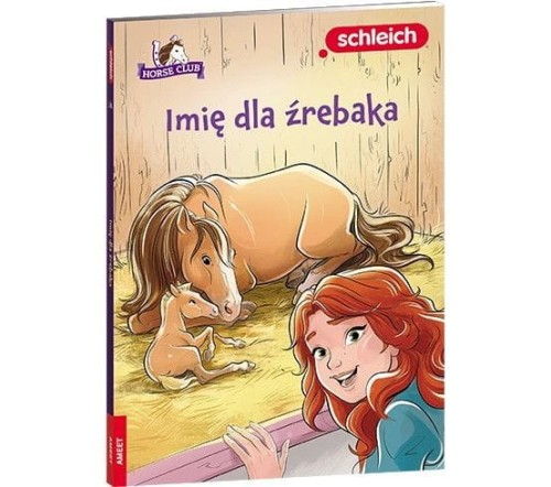 Książeczka edukacyjna Ameet HORSE CLUB. Imię dla źrebaka (LNR 8401)