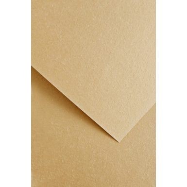 Papier ozdobny (wizytówkowy) wood beżowy A4 beżowy 220g Galeria Papieru (205613)
