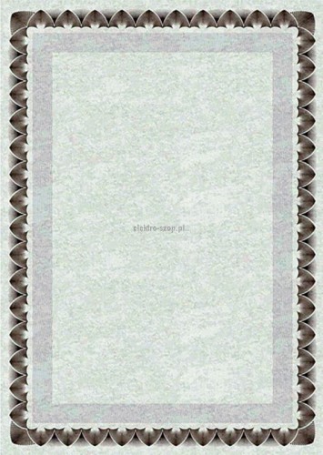 Dyplom Galeria Papieru arkady złote A4 170g (210717)