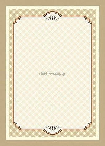 Dyplom Galeria Papieru Retro A4 170g (217917)