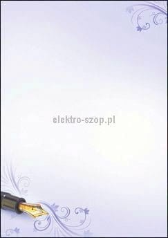 Dyplom Galeria Papieru Styl A4 100g (233110)