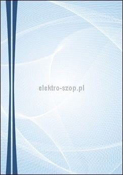 Dyplom Galeria Papieru Graphic A4 170g (217217)