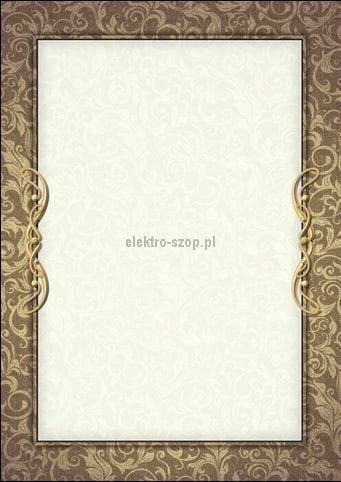 Dyplom Galeria Papieru Arras A4 170g (216217)