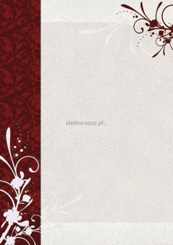Dyplom Galeria Papieru finezja A4 170g (211817)