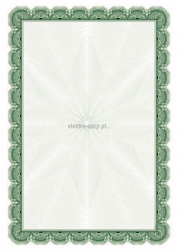 Dyplom Galeria Papieru A4 170g (210417)