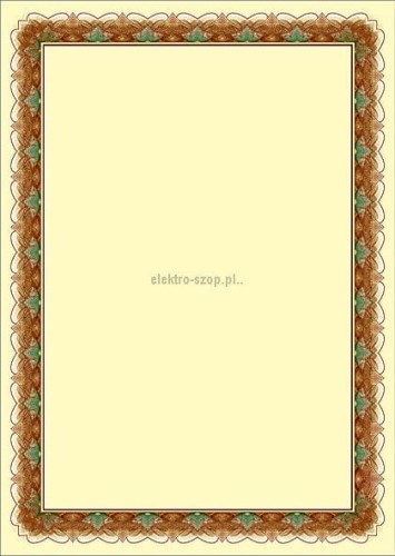 Dyplom Galeria Papieru złoto A4 170g (210217)